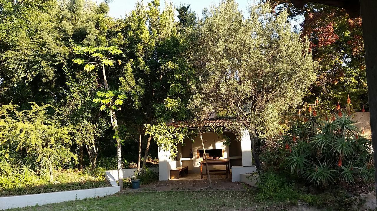 Amberhall Guesthouse Йоханнесбург Экстерьер фото